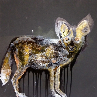 Jackal//oil on canvas//2011